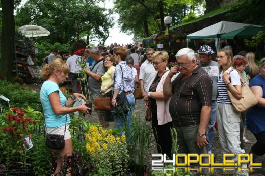 W Otmuchowie trwa Lato Kwiatów 2013