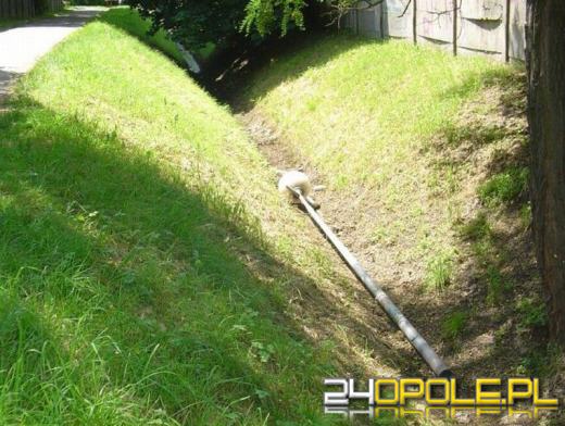 Brzeg wypowiada walkę wandalom i chuliganom