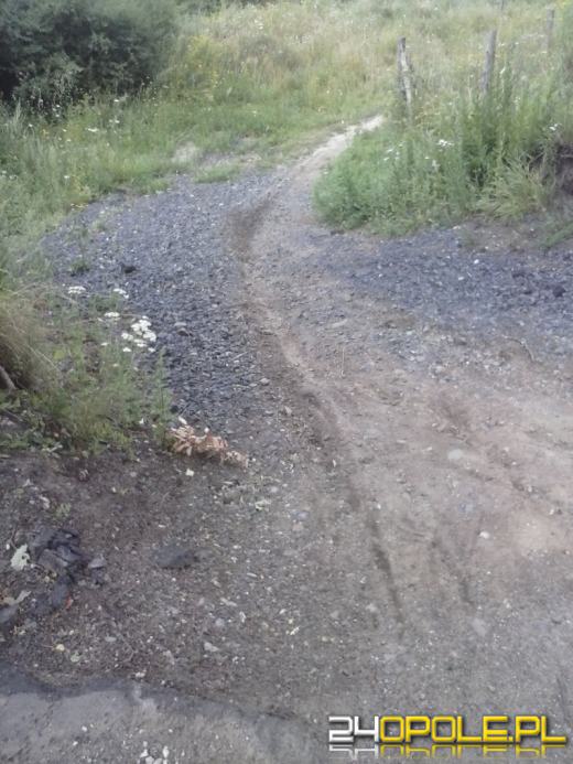 Co dalej z zawaloną drogą pod Niemodlinem?