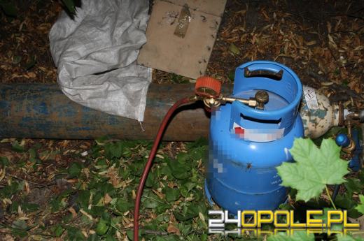 Włamywacze wpadli na gorącym uczynku