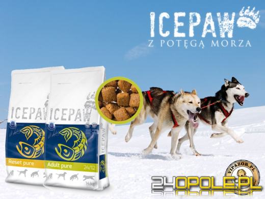 Formuła ICEPAW - rewolucja w karmie dla psów!