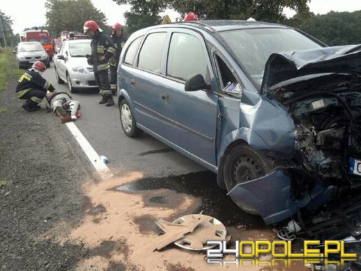 Czołowe zderzenie na trasie Opole-Nysa