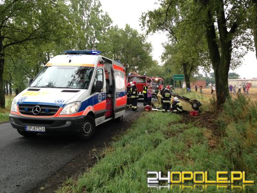 Renault uderzyło w drzewo i dachowało