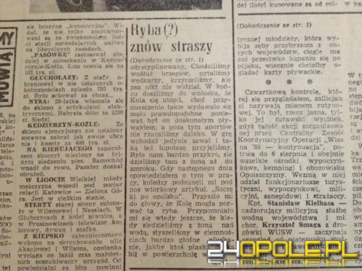 Dziennikarska bujda, która zaczęła żyć własnym życiem