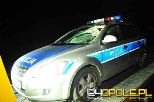 Policjant ranny po zderzeniu radiowozu z sarną