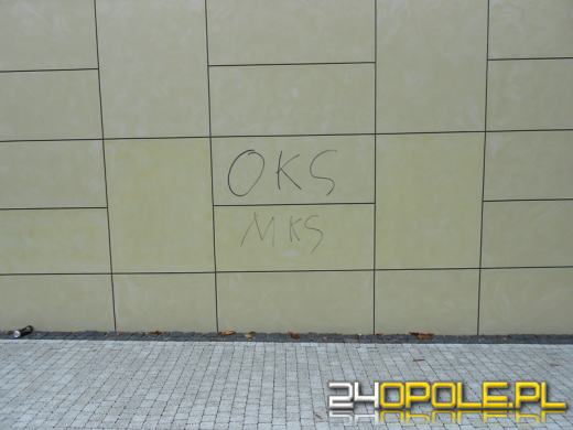 Nastolatek zniszczył kilkadziesiąt elewacji budynków