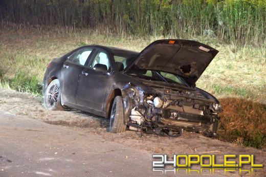 Kierowca hondy uderzył w dzika