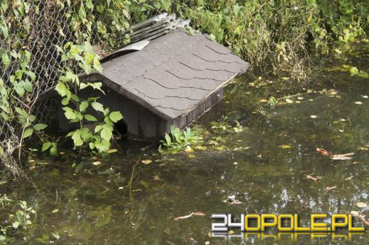 Woda ze stawów zalewa posesje na Kolonii Gosławickiej