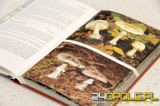 Pomyłka na grzybobraniu może nas kosztować życie