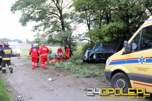 17-latek zginął w wypadku pod Strzelcami Opolskimi