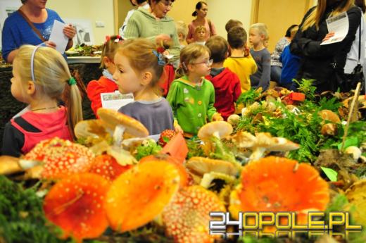 Opolski sanepid uczy, jak rozpoznawać trujące grzyby