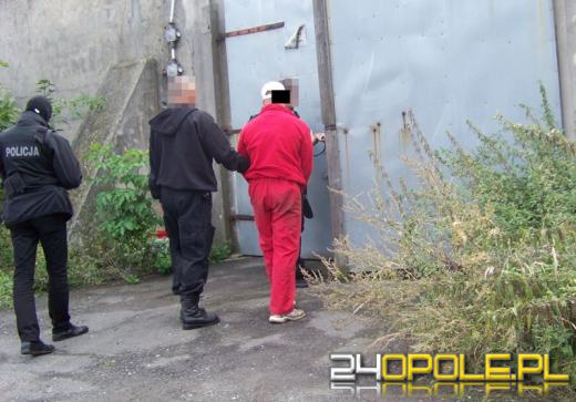 CBŚ i celnicy przejęli 1,5 tony tytoniu z nielegalnej wytwórni