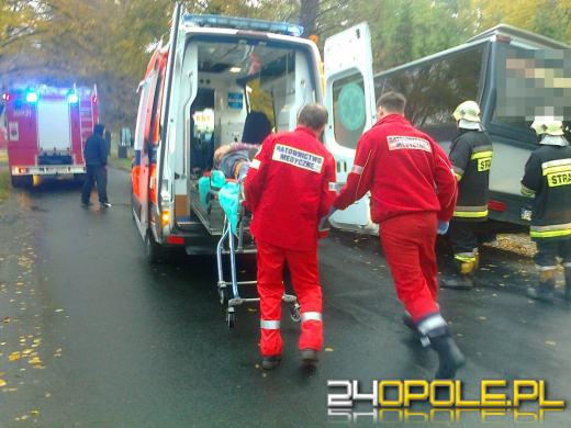 Autobus uderzył w drzewo, 6 osób trafiło do szpitala