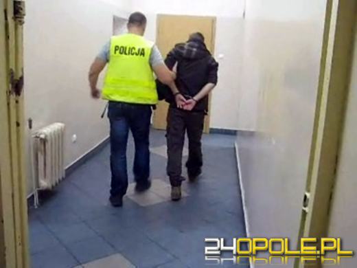 Czesi uprawiali konopie w przygranicznym zagajniku