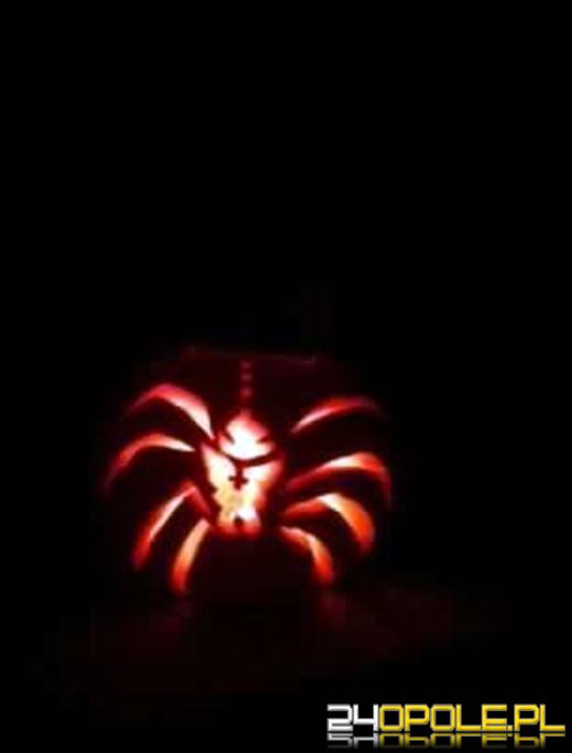 Halloweenowe dynie naszych czytelników