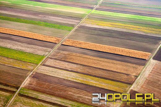 Piękno Opolszczyzny z lotu ptaka. Zobacz wyjątkowe zdjęcia.