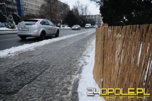 Specjalne osłony ochronią zieleń miejską przed solą