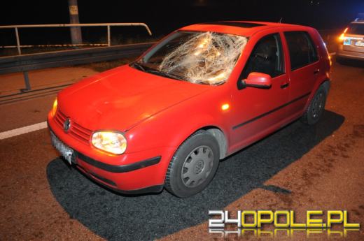 Pieszy potrącony na obwodnicy Opola