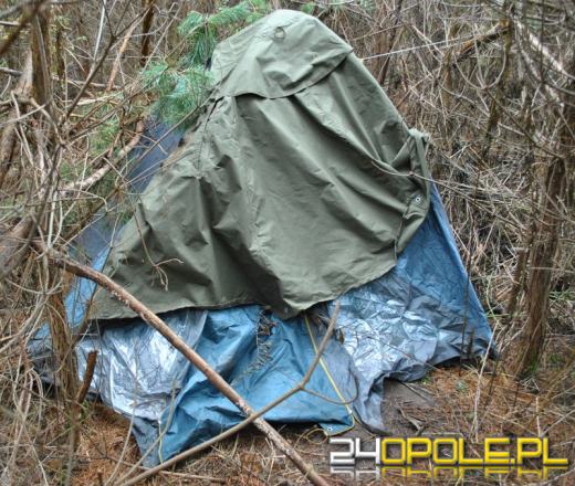 Mieszkańcy Namysłowa założyli w lesie plantację konopi