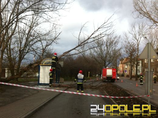 Ponad 70 interwencji strażaków podczas wichury na Opolszczyźnie