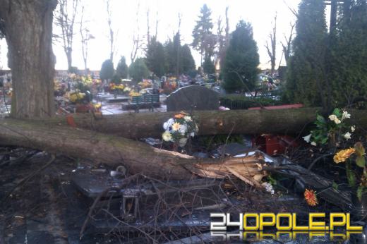 Ponad 70 interwencji strażaków podczas wichury na Opolszczyźnie