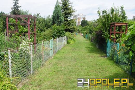 W przyszłym roku sporo zmian dla działkowców