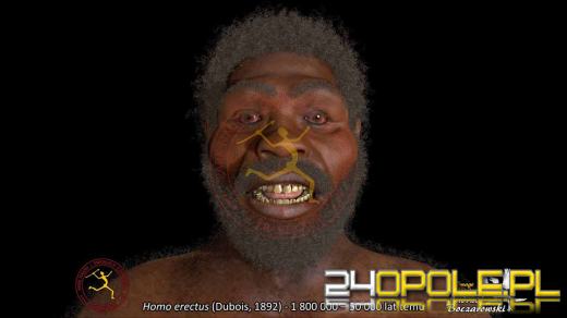 W Juraparku powstaje Park Nauki i Ewolucji Człowieka