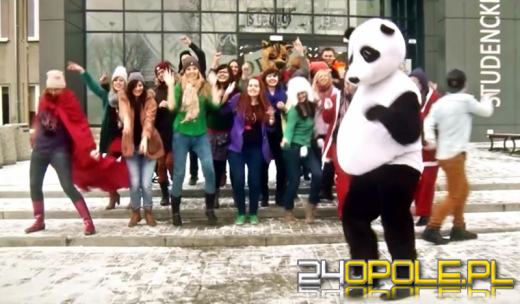 Opole is also happy. Zobacz premierę klipu!