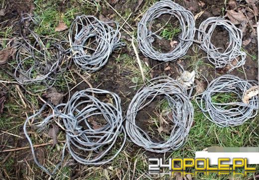 Kłusownicy zatrzymani na gorącym uczynku