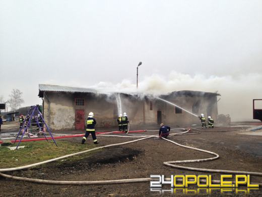 Pożar hali warsztatowej w Polskiej Nowej Wsi
