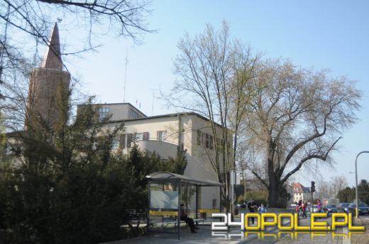 Drzewa przy urzędzie wojewódzkim do wycinki