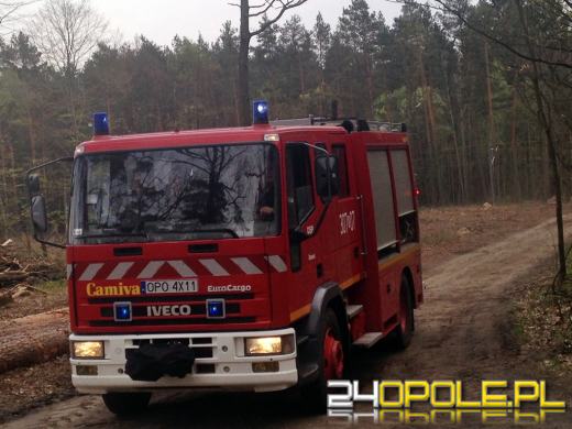 Pożar lasu pod Dębską Kuźnią