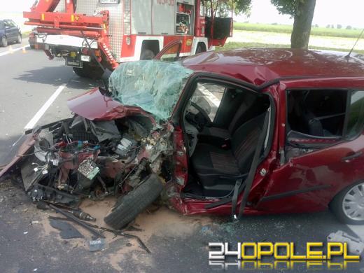 Wypadek na trasie Opole-Nysa, kobieta trafiła do szpitala