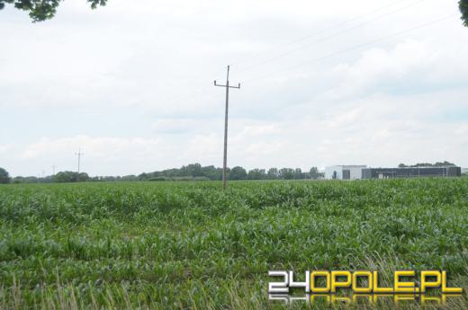 Kolejny amerykański inwestor jest zainteresowany Opolem