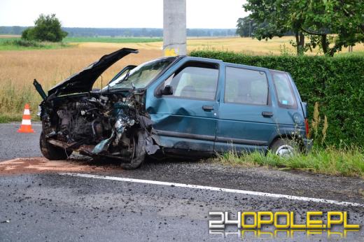 Pijany kierowca sprawcą czołowego zderzenia w Skarbiszowie