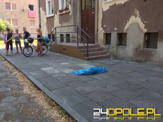 Wyrzucili psa przez okno. Zwierzę nie żyje.