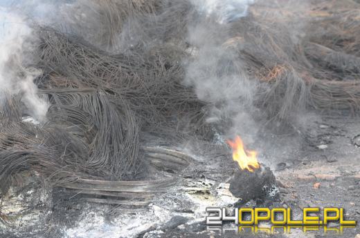 Do piątku potrwa gaszenie pożaru w Buszycach