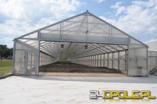 Mieszkańcy Antoniowa: Smród z oczyszczalni ścieków zatruwa nam życie