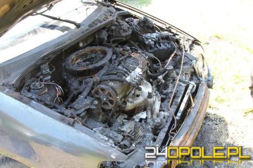 Podpalacz z Brzegu trafił do aresztu