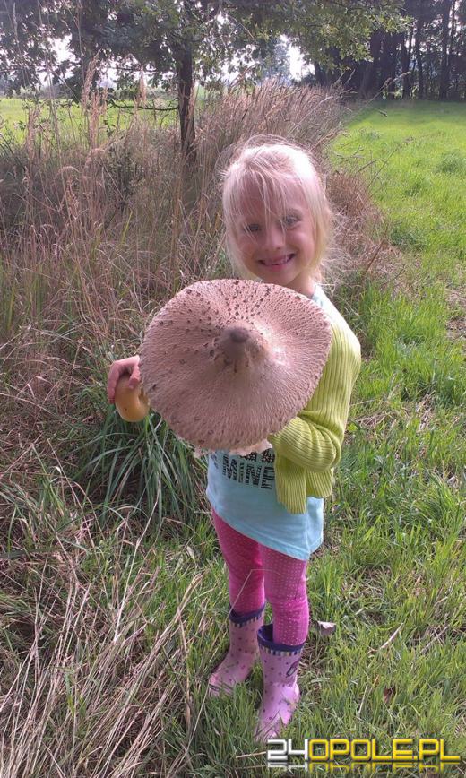 Zobacz zdjęcia z grzybobrań naszych czytelników