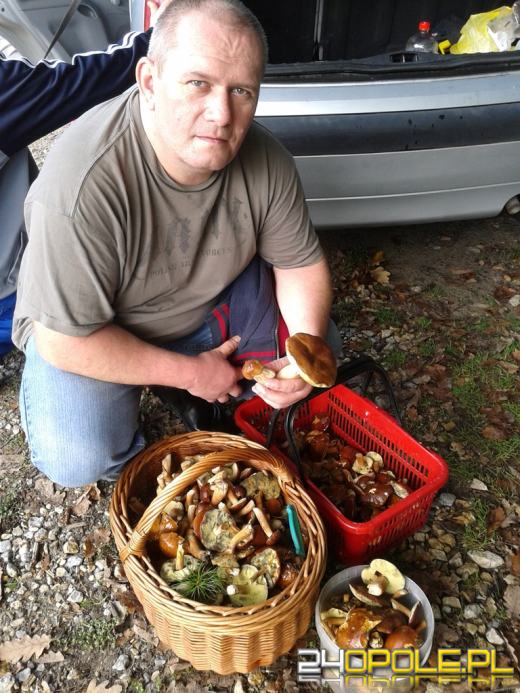 Zobacz zdjęcia z grzybobrań naszych czytelników