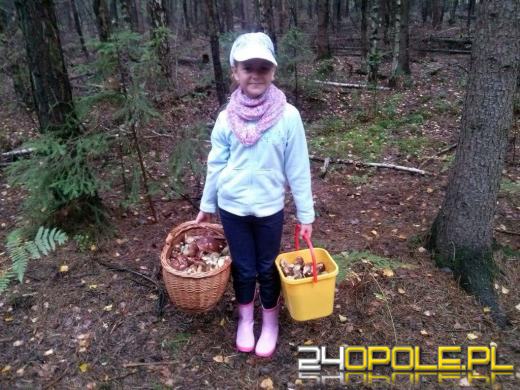 Grzybów w lasach nie brakuje. Zobacz kolejne zdjęcia czytelników.