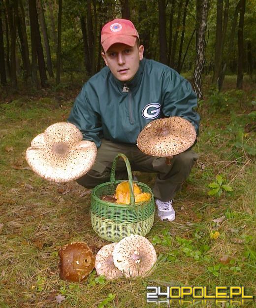 Grzybów w lasach nie brakuje. Zobacz kolejne zdjęcia czytelników.
