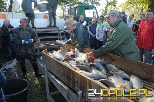 W Krogulnej trwa 4. Święto Karpia Opolskiego