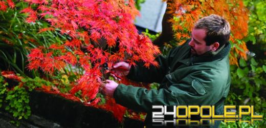 Praca sezonowa w Holandii jesienią? To możliwe!