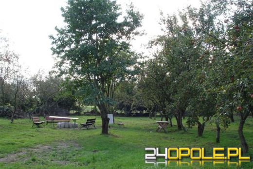 Osiedle Sady. Dom marzeń w wyjątkowym miejscu i cenie.