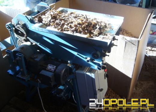 Wspólna akcja CBŚ i celników w Nysie