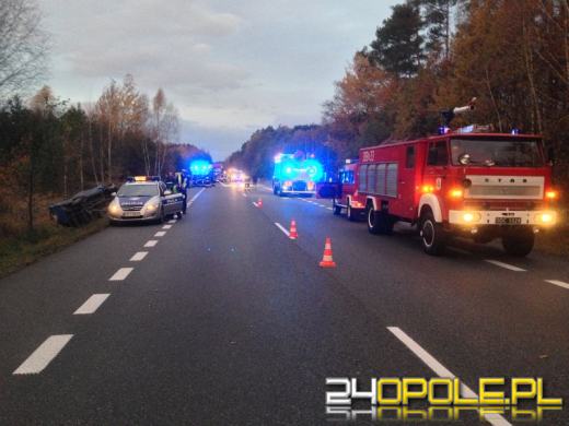 5 osób rannych po zderzeniu busa z sarną