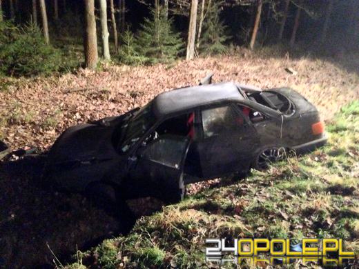 Kierowca audi uderzył w sarnę i dachował