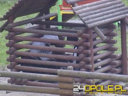 Strażnicy miejscy zatrzymali dilerów na placu zabaw